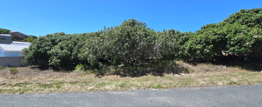 0 Bedroom Property for Sale in Kleinbaai Western Cape